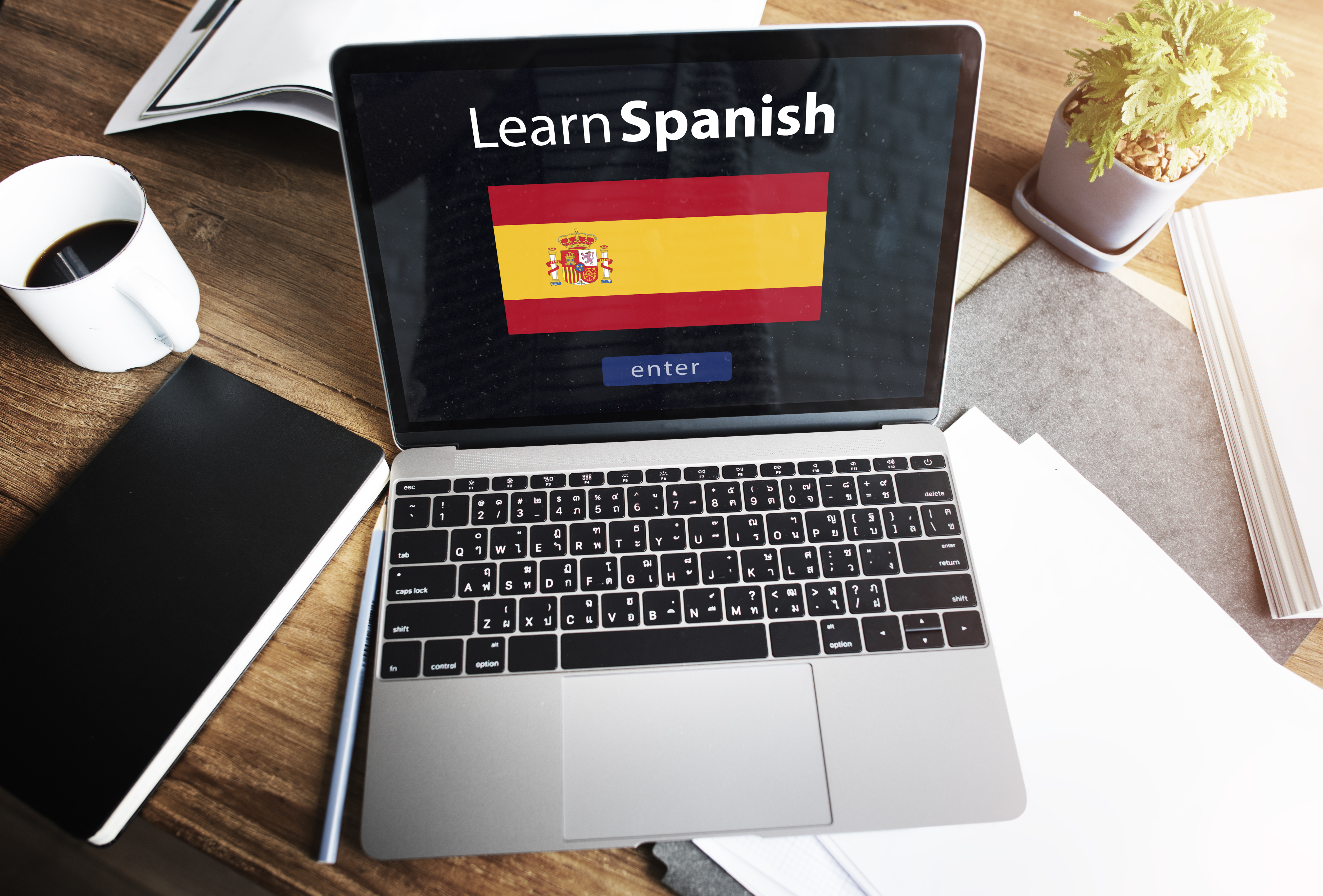 Português para Concursos